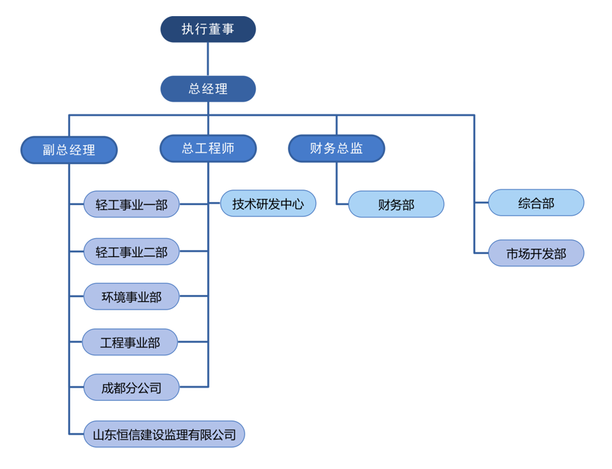 輕工設(shè)計(jì)院組織架構(gòu)圖202510